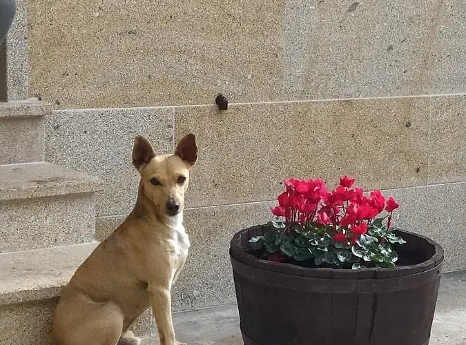 Διαμέρισμα Casa Andrea